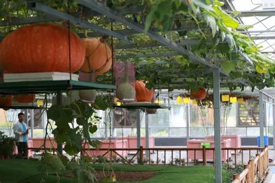 感受知青激情歲月，助力鄉(xiāng)村振興——省第九屆全民健身運(yùn)動(dòng)會(huì)氣排球活動(dòng)走進(jìn)蘭陵